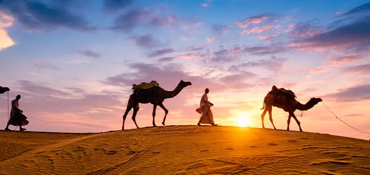Dubai Desert Safari - places to visit In UAE